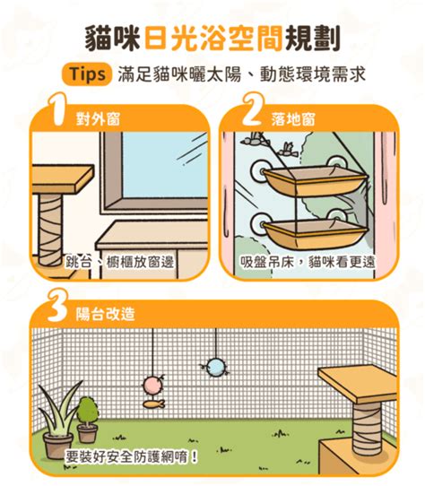 養貓房間佈置|打造舒適貓宅！理想 養貓空間 規劃指南｜汪喵星